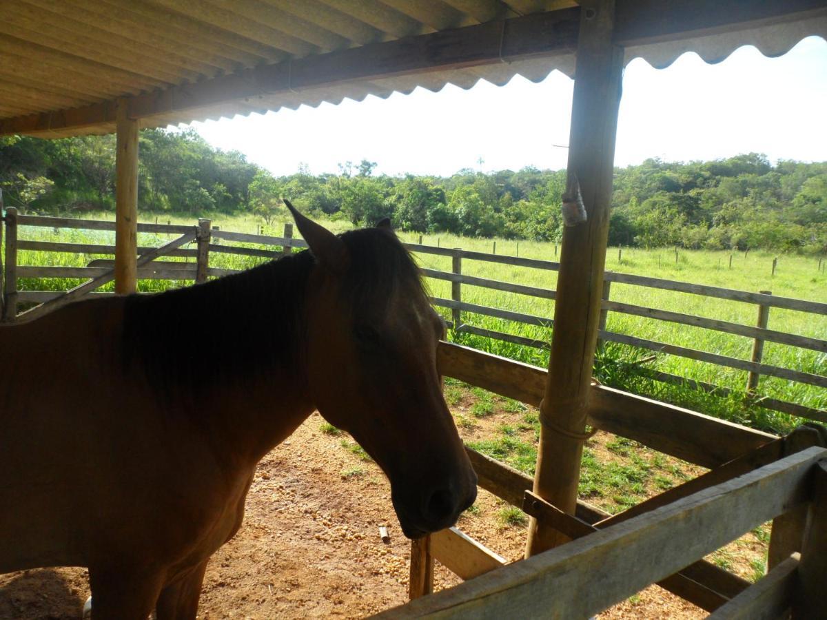 Pousada Estancia Macaubas - Sao Roque de Minas Ngoại thất bức ảnh