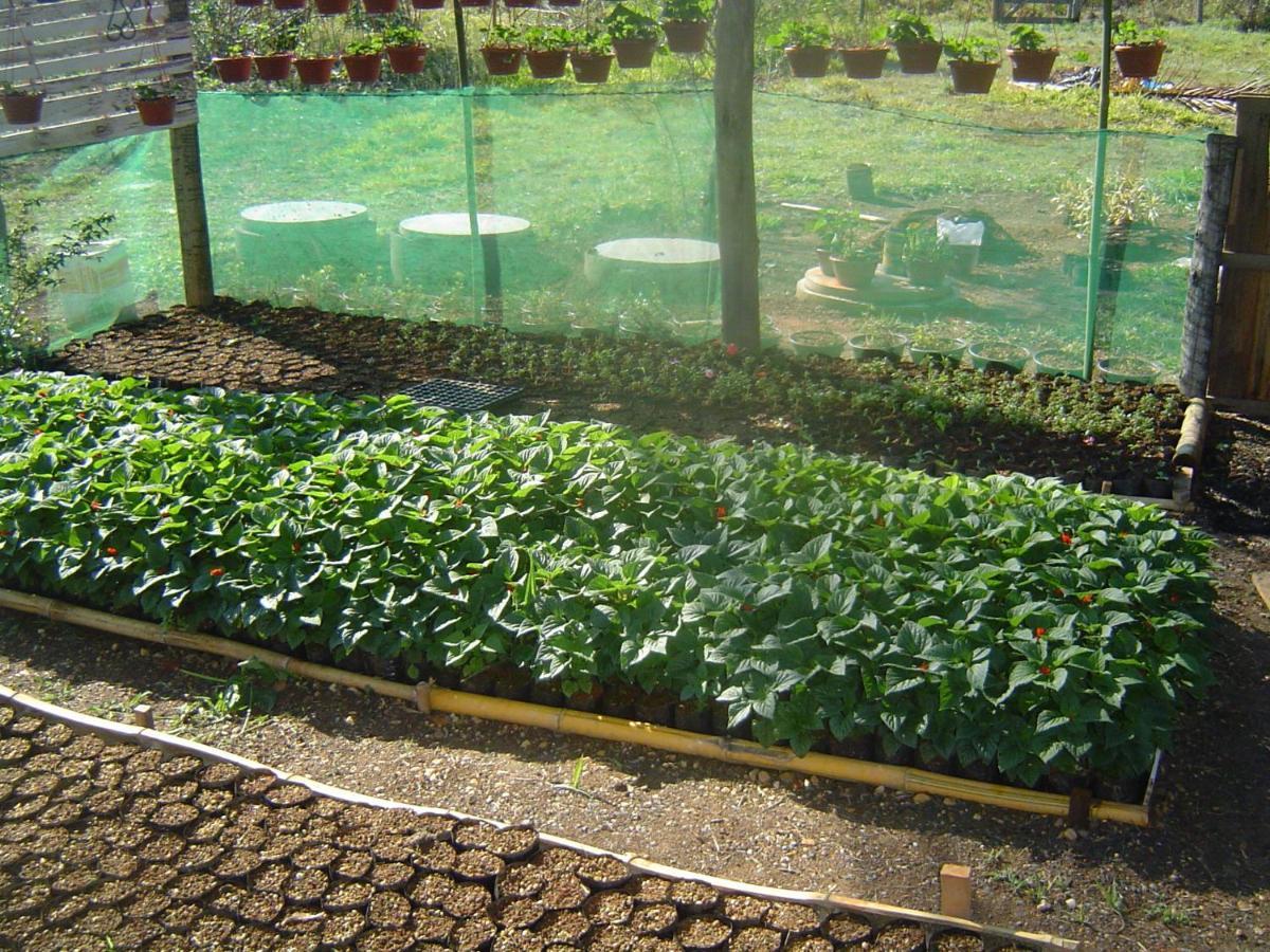 Pousada Estancia Macaubas - Sao Roque de Minas Ngoại thất bức ảnh